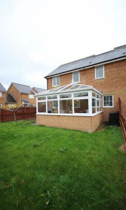 Images for Single room in shared house